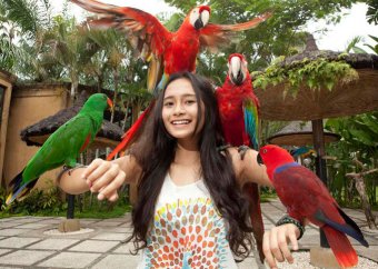 Bali Bird Park - wizyta w Parku Ptaków